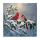 Search for cardinal tiles Birds