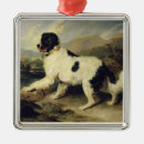 Search for newfoundland dog ornaments Landseer