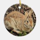 Search for rabbit ornaments Easter