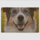 Search for photo doormats Pets