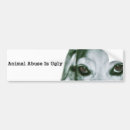 Search for bunny bumper stickers Wildlife