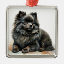 Search for black pomeranian ornaments Puppy