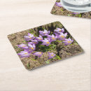 Search for cute coasters Photography