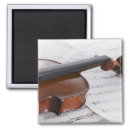 Search for violin magnets still life