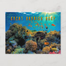 Search for great barrier reef postcards Australia