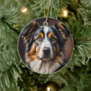 Search for australian shepherd ornaments Sheep