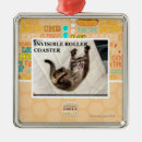 Search for roller coaster ornaments I can has cheezburger