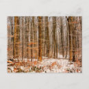 Search for beautiful postcards Snow