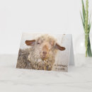 Search for funny sheep birthday cards Wool