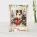 Search for sheltie christmas cards Puppy
