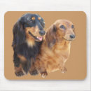 Search for dachshund mousepads Doxie