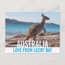 Search for australia postcards Kangaroo