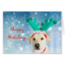 Search for holiday cards Dog