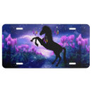 Search for horse license plates Colorful