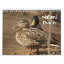 Search for duck calendars wildlife