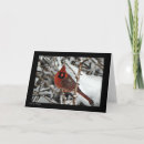 Search for cardinal photo christmas cards Country