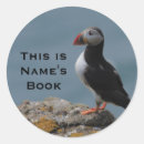 Search for puffin crafts party Auk