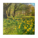 Search for daffodil gifts White
