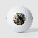 Search for bird golf balls Crow