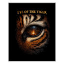 Search for tiger eyes posters Predator