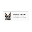 Search for scottish terrier Dogs