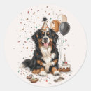 Search for bernese mountain dog stickers Puppy