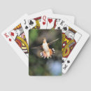 Search for hummingbird playing cards Nature