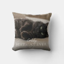 Search for cat pillows Kitty