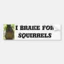 Search for i brake for squirrels bumper stickers Humor