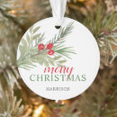 Search for peace on earth ornaments Modern