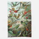 Search for hummingbird kitchen towels Ernst haeckel