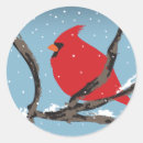 Search for red cardinal stickers Branch