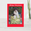 Search for labradoodle cards Doodles