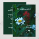 Search for 79th birthday invitations Daisies