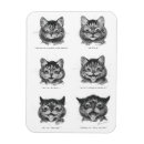 Search for funny cat magnets Tabby