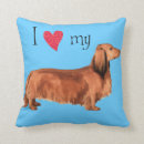 Search for dachshund pillows Dachsie