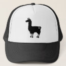 Search for funky hats animal