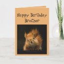Search for funny squirrel cards Humor