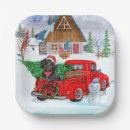 Search for dachshund christmas plates Dog