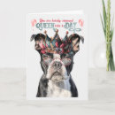 Search for boston terrier birthday pets