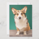 Search for corgi thank you cards Cute