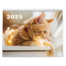 Search for funny cat calendars Modern