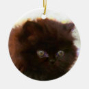 Search for brown tabby cat ornaments Persian