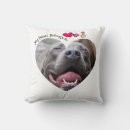 Search for pitbull pillows Puppy
