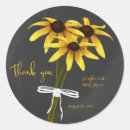 Search for black eyed susan Wildflower