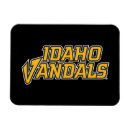 Search for idaho magnets Viking