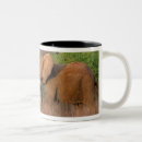 Search for elephant mugs Plant