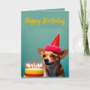 Search for chihuahua birthday cards Puppy