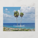 Search for cozumel postcards Island