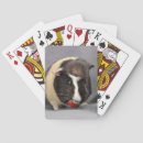 Search for pig playing cards Guinea